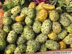 خربزه شاخدار